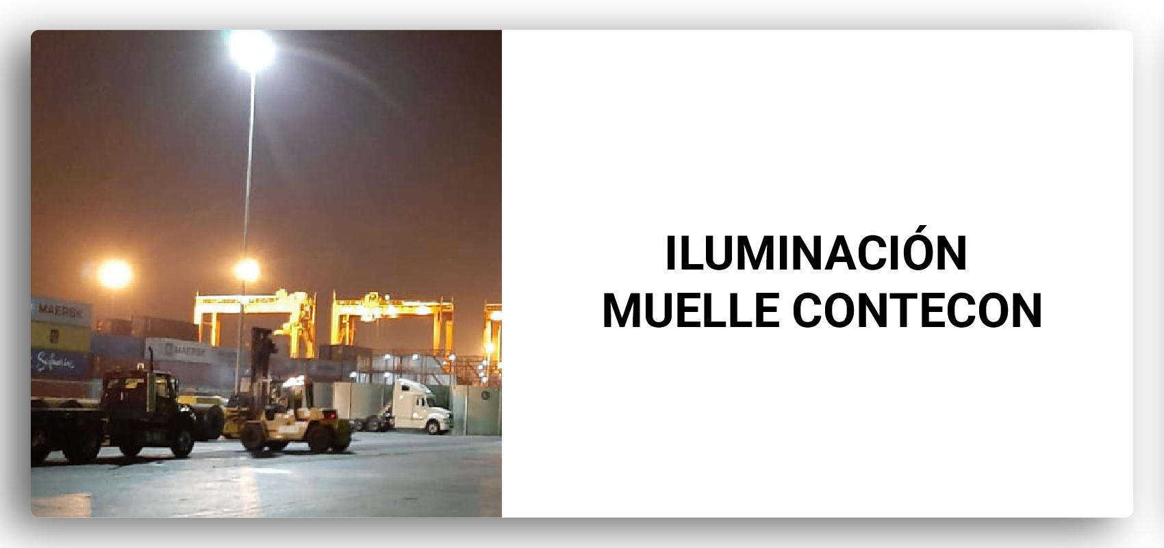 2019