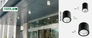 CEILING LIGHT 02S1-S-M