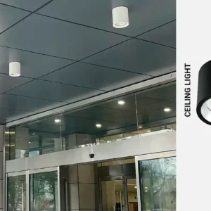 CEILING LIGHT 02S1-S-M