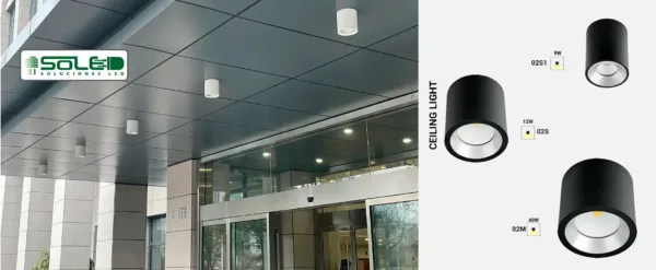 CEILING LIGHT 02S1-S-M