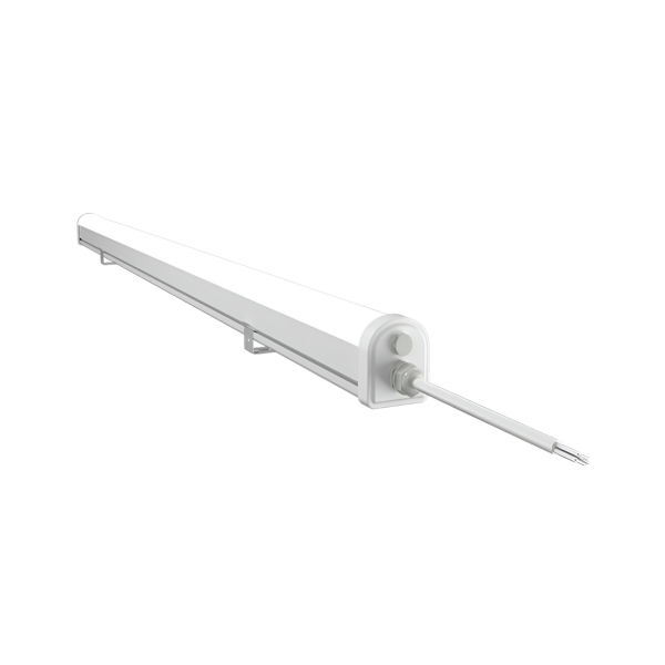 T512 - Imagen 2