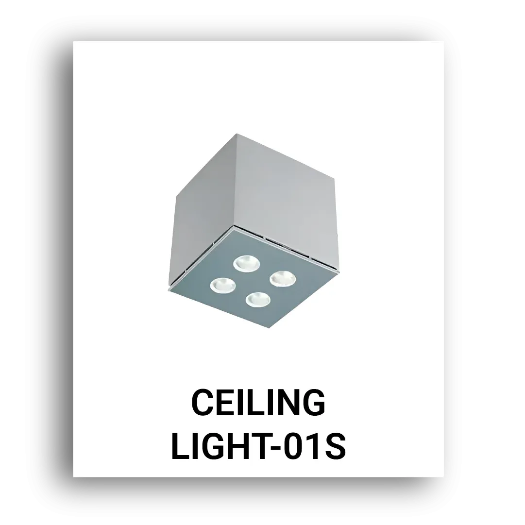 CEILING-LIGHT-01S