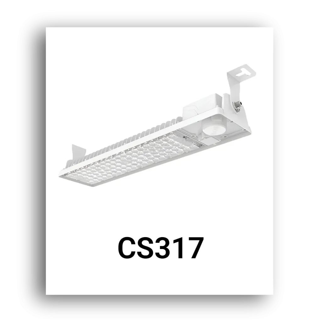 CS317