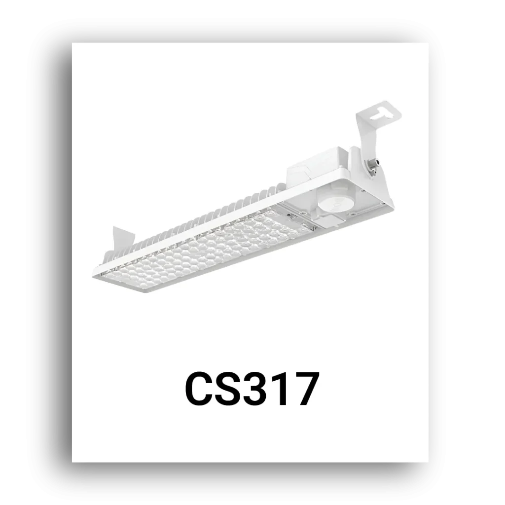 CS317